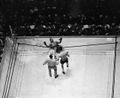 Louis-Lewis U866446INP.jpg