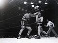 Louis-Mauriello-U1049770INP.jpg