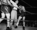 Louis-Nova U938077INP.jpg