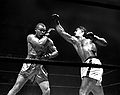 Louis-Rocky.jpg