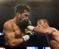 File:Lucian Bute.20.jpg