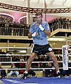 Lucian Bute.34.jpg