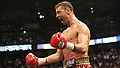 Lucian Bute.47.jpg