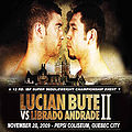 Lucian Bute.63.jpg