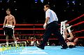 Lucian Bute.85.jpg