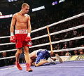 Lucian Bute.96.jpg