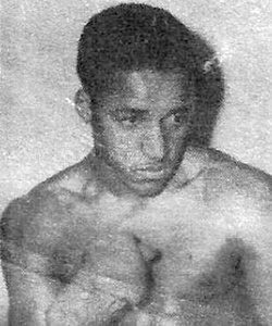 Luciolima.jpg
