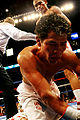 Thumbnail for version as of 03:50, 31 December 2010