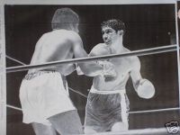 File:Luis Rodriquez vs. Rafael Gutierrez . Fasan.jpg