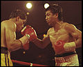 MICHAELcarbajalboxingMaster.jpg
