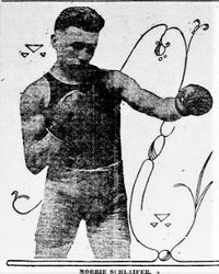 File:MORRIE SCHLAIFER.jpg
