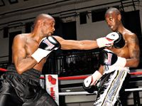 File:Maina brown048.jpg