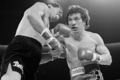 Mancini-Chacon hall-of-fame-inductions-boxing-2abe56df57969d0e.jpg