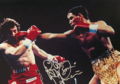 Mancini-camacho.jpg