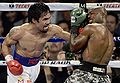 Manny-pacquiao-vs-tim-bradley-ii-april-12-2014-04-photo-by-naoki-fukuda.jpg