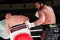 Manuel Charr knocks out Konstantin Airich.jpg