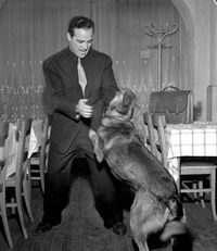 File:Marcel Cerdan 17.jpg