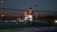 File:Marcelo Antonio Gomez vs. Jesus Andres Cuellar Rojas 003.jpg