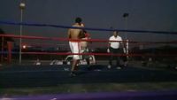 File:Marcelo Antonio Gomez vs. Jesus Andres Cuellar Rojas 005.jpg