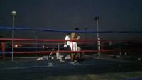 File:Marcelo Antonio Gomez vs. Jesus Andres Cuellar Rojas 033.jpg
