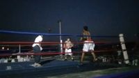 File:Marcelo Antonio Gomez vs. Jesus Andres Cuellar Rojas 049.jpg