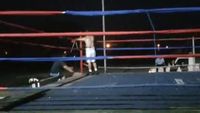 File:Marcelo Antonio Gomez vs. Jesus Andres Cuellar Rojas 082.jpg