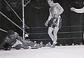 Marciano-Charles II U1264705INP.jpg