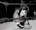 Marciano-Matthews DM3420.jpg