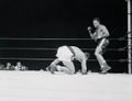 Marciano-Moore U1292824INP.jpg