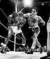 Marciano vs. Charles June 54.jpg