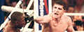 Marco Huck (402).jpg
