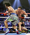 Marquez Pacquiao KO punch.jpg
