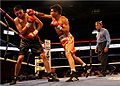 Martinez-Sandaval-MW-usa-boxing.jpg
