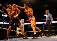 File:Martinez-Sandaval-MW-usa-boxing.jpg