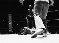 Marvin Hagler-Roy Jones.jpg
