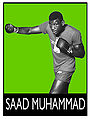 Matthew Saad Muhammad-green.jpg