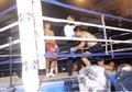 Thumbnail for version as of 19:26, 30 May 2005