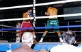 Thumbnail for version as of 19:09, 30 May 2005