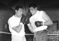 Max & Buddy Baer 79666269.jpg