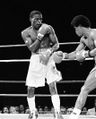 Mayweather-Baret 158705436.jpg