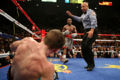 Mayweather-Hatton.jpeg