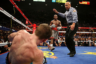 Mayweather-Hatton.jpeg