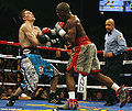 Mayweather-VS-Cotto.jpg