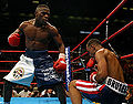 Mayweather-bruseles6.jpg