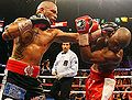 Mayweather-cotto-10.jpg
