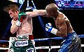 Mayweather 2672725b.jpg