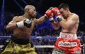 Mayweather guerrero boxing 26809409.jpg