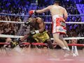 Mayweather guerrero boxing 26809465.jpg