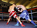Thumbnail for version as of 18:55, 28 February 2013