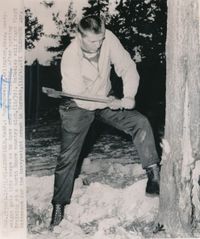 File:McNeeley Tree.JPG